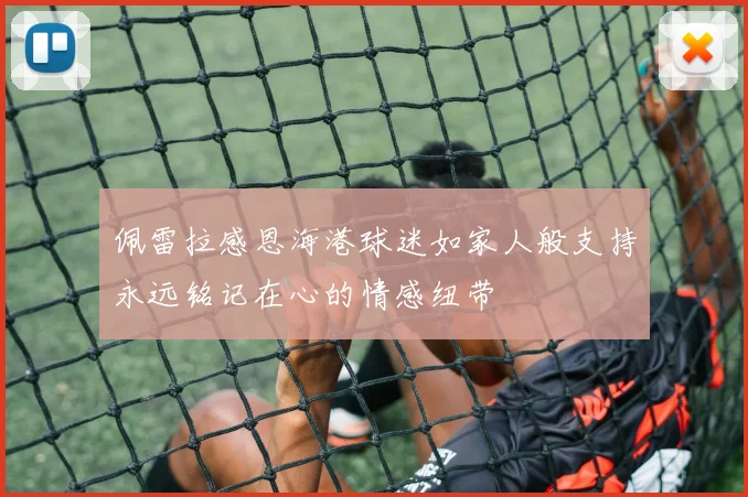 佩雷拉感恩海港球迷如家人般支持永远铭记在心的情感纽带